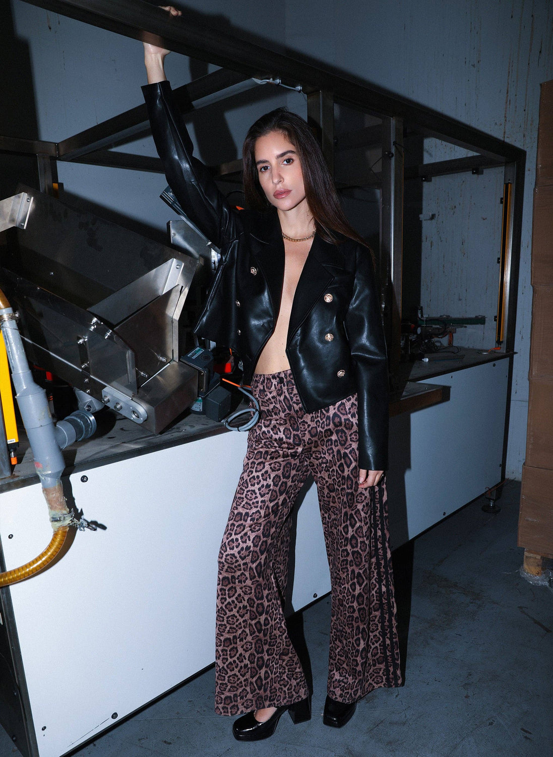 Animal Print Pants