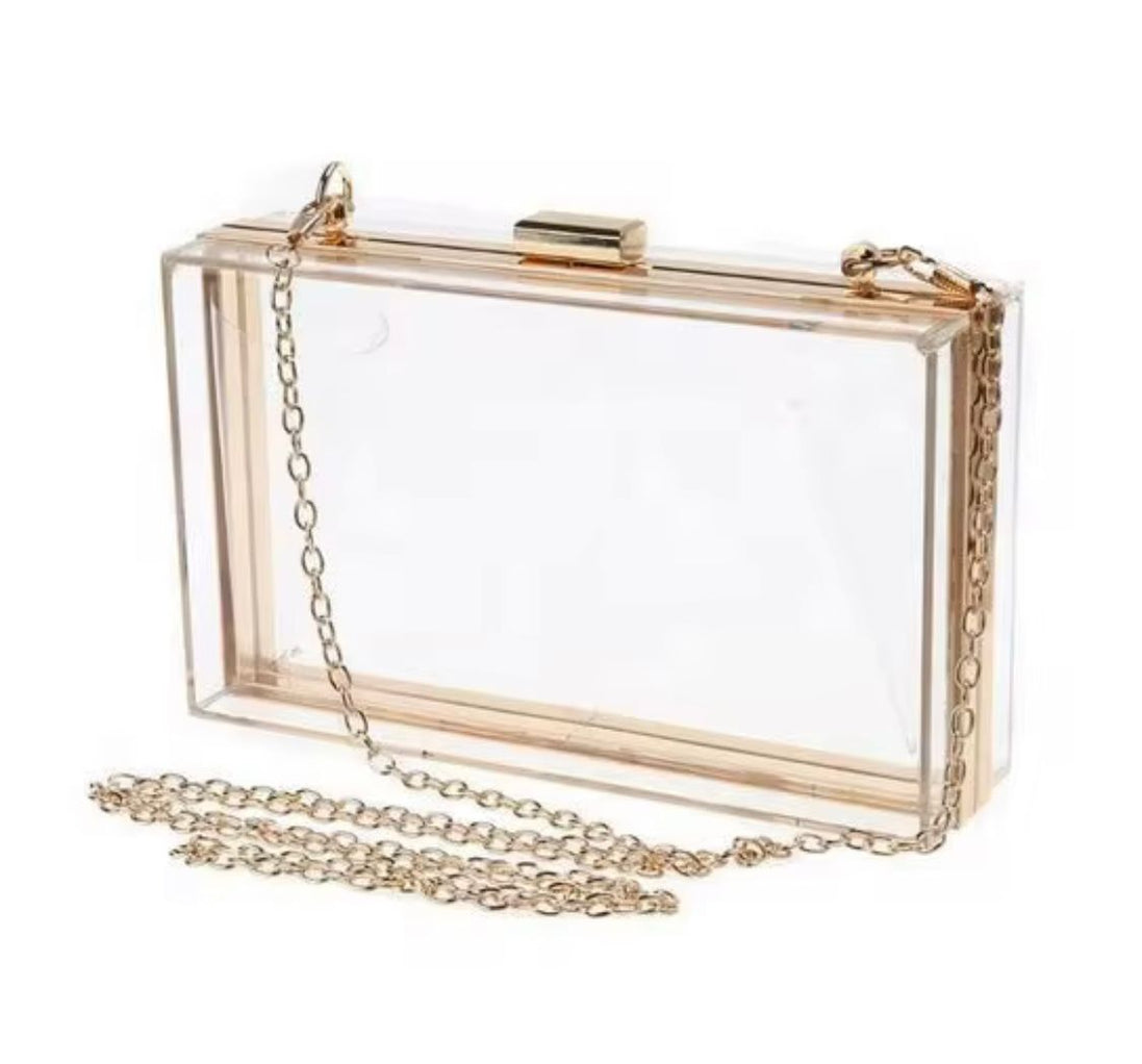 Transparent Acrylic Clutch