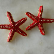 Starfish Earrings