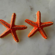 Starfish Earrings