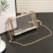 Transparent Acrylic Clutch