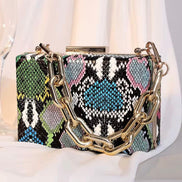 Snake Pattern Handbag & Clutch